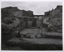 Ashkelon VII