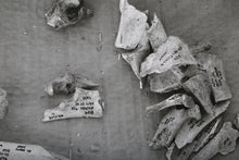 Ashkelon XVIII