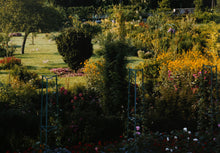 Overview of Garden