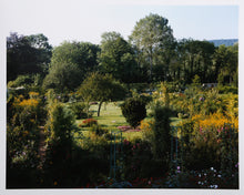 Overview of Garden