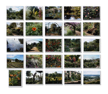 The Complete Giverny Portfolio