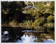 The Pond
