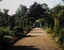 View From The House