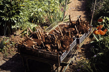 Wheel Barrow