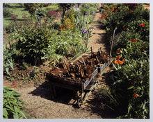 Wheel Barrow