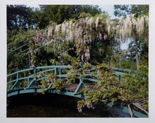 Wisteria covered bridge