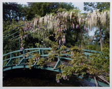 Wisteria covered bridge