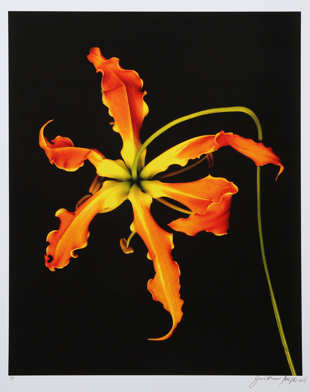 Orange Flower Unique