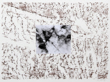 Texture 2