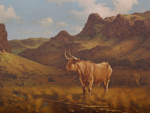 Texas Longhorn