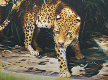 Leopards out of Shadows