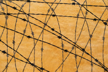Barbed Wire