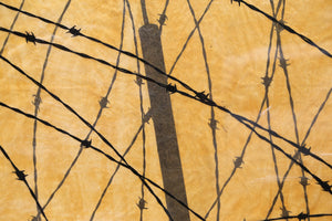 Barbed Wire