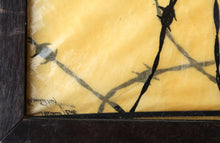 Barbed Wire