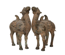 Pair of Camels