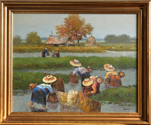 Planting Rice