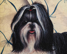Shih Tzu