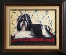 Shih Tzu