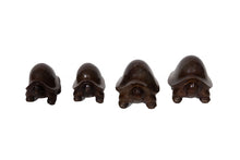 Turtle Set