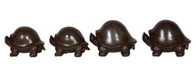 Turtle Set