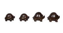 Turtle Set