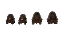 Turtle Set