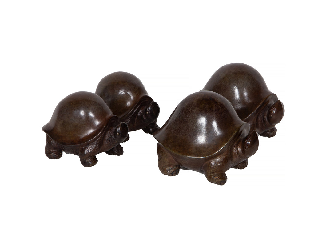 Turtle Set