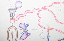 The Royo-Rooter Cake