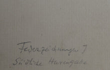 Southern Haringale