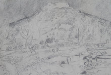Southern Landscape