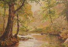 Forest Landscape