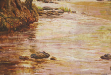 Forest Landscape