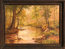 Forest Landscape