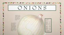 Onions