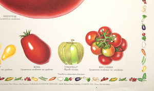 Tomatoes