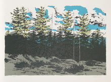 From Zeke's Place (Maine Landscape)