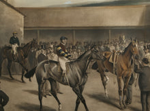 The Paddock