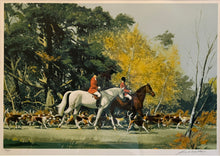 Going out with the Hounds
