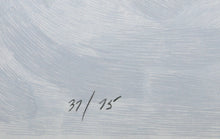 Nimbus Gray Blue