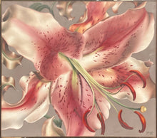 Status Lily