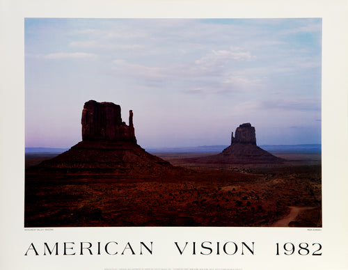 American Vision