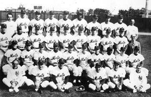 1962 New York Mets Team Black and White | Unknown Artist,{{product.type}}