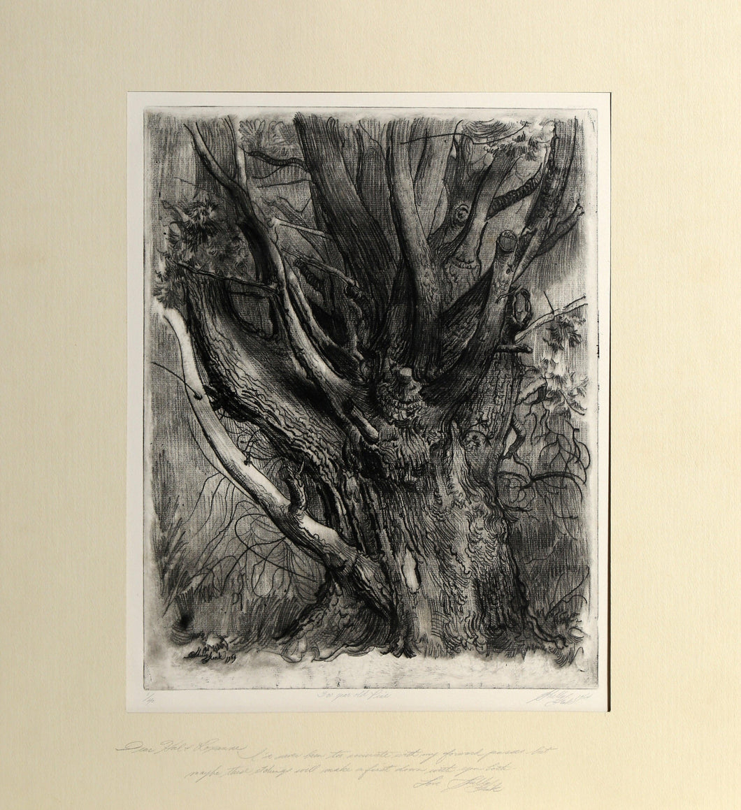 300 Year Old Pine Etching | Sheldon 'Shelly' Fink,{{product.type}}
