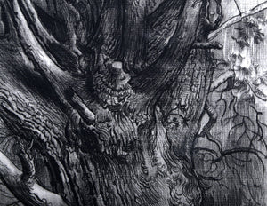 300 Year Old Pine Etching | Sheldon 'Shelly' Fink,{{product.type}}