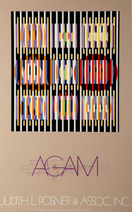 Judith L. Posner and Association Poster