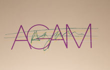 Judith L. Posner and Association Poster