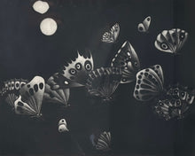 Maniere Noire Aux 13 Papillons