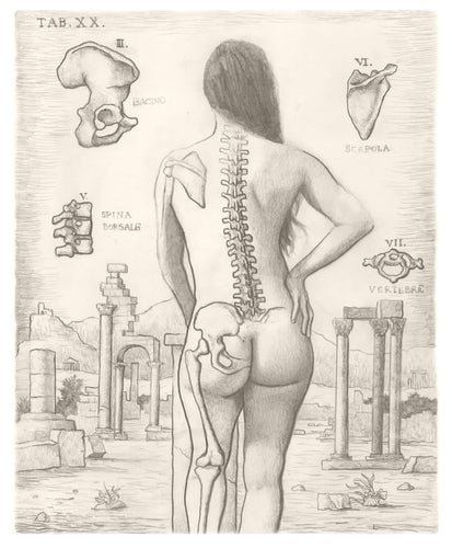 Anatomical study in the style of Cortona