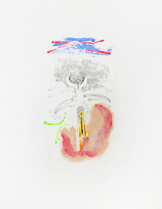 Polyp