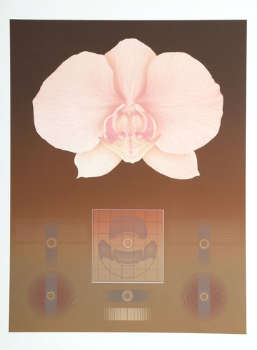 Orchid Matrix II